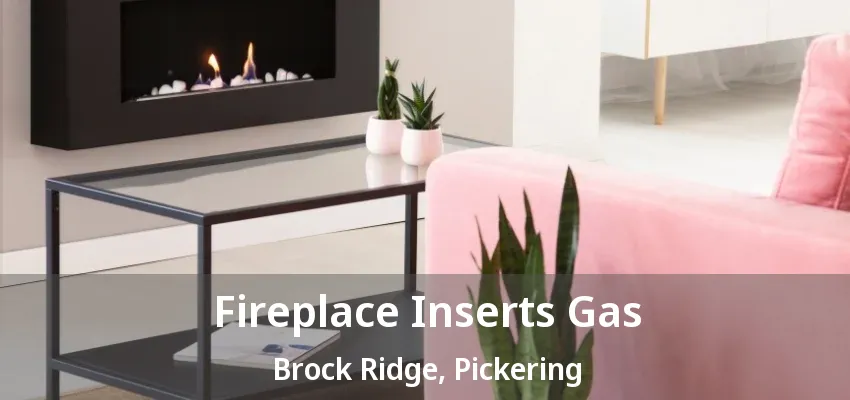 Fireplace Inserts Gas Brock Ridge, Pickering - ON