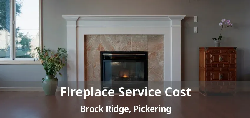 Fireplace Service Cost Brock Ridge, Pickering - ON
