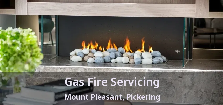 Gas Fire Servicing Mount Pleasant, Pickering - ON Gas Fire Servicing Mount Pleasant, Pickering - ON