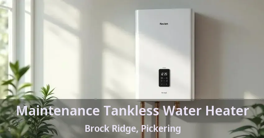 Maintenance Tankless Water Heater Brock Ridge, Pickering - ON Maintenance Tankless Water Heater Brock Ridge, Pickering - ON