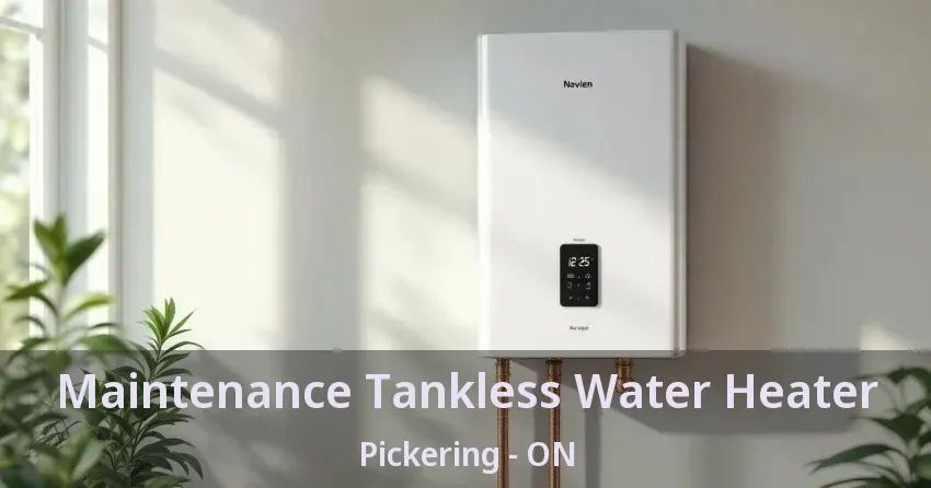 Maintenance Tankless Water Heater Pickering - ON Maintenance Tankless Water Heater Pickering - ON