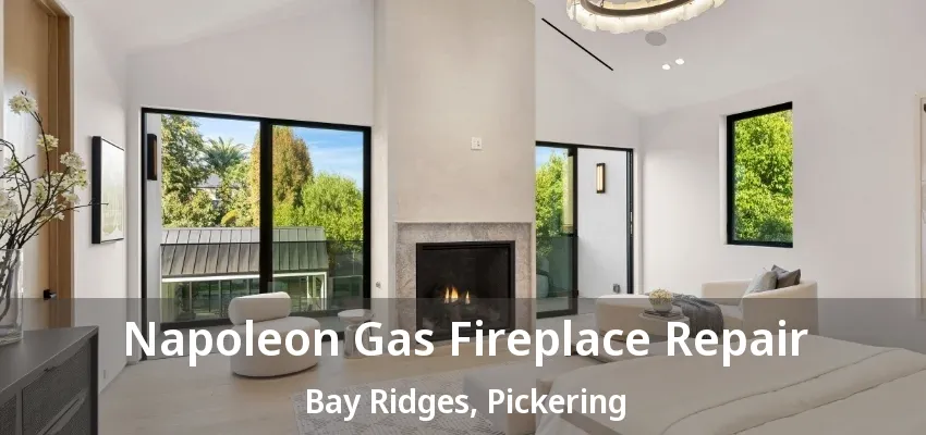 Napoleon Gas Fireplace Repair Bay Ridges, Pickering - ON