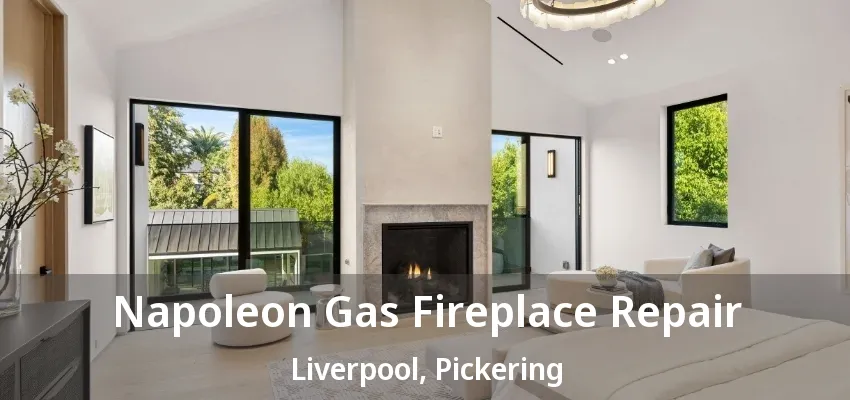 Napoleon Gas Fireplace Repair Liverpool, Pickering - ON