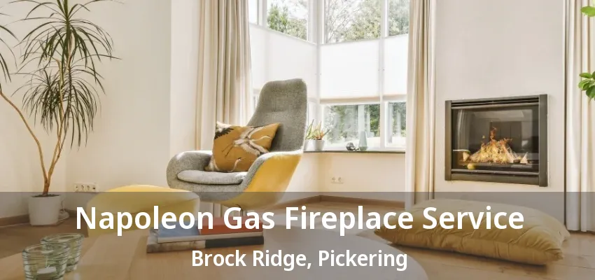 Napoleon Gas Fireplace Service Brock Ridge, Pickering - ON Napoleon Gas Fireplace Service Brock Ridge, Pickering - ON