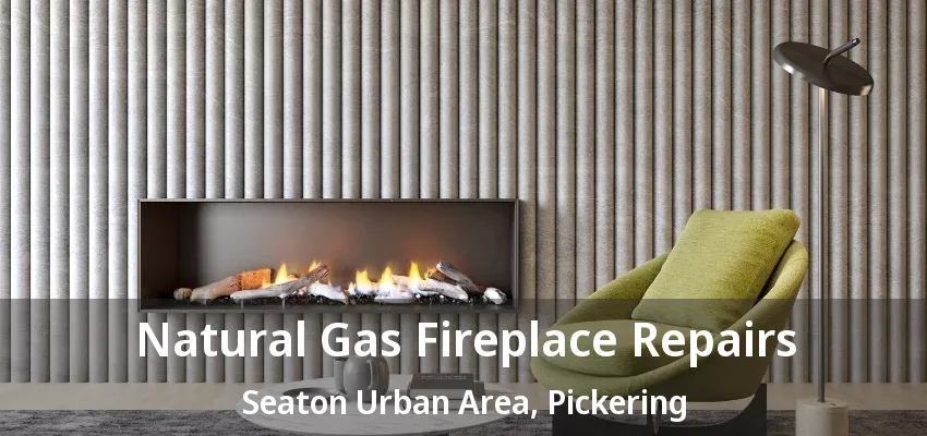 Natural Gas Fireplace Repairs Seaton Urban Area, Pickering - ON Natural Gas Fireplace Repairs Seaton Urban Area, Pickering - ON