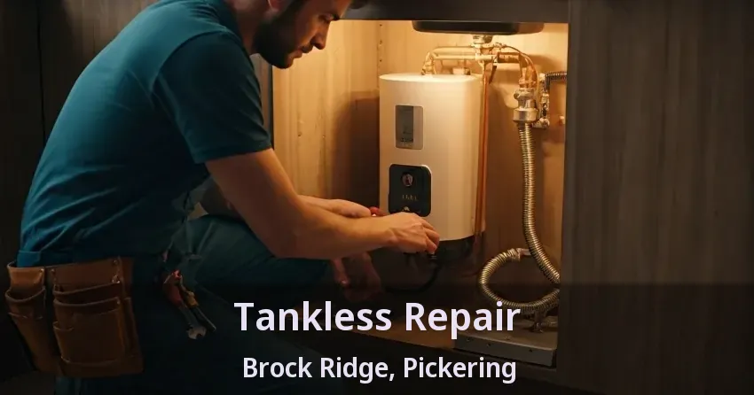Tankless Repair Brock Ridge, Pickering - ON Tankless Repair Brock Ridge, Pickering - ON