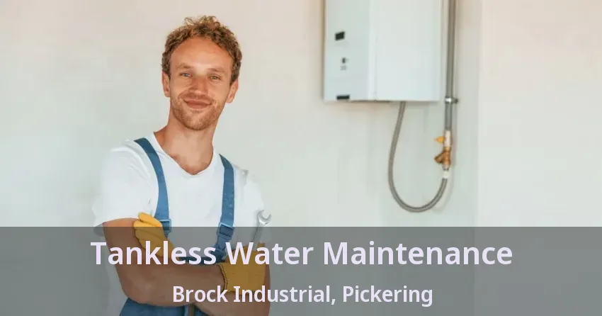 Tankless Water Maintenance Brock Industrial, Pickering - ON Tankless Water Maintenance Brock Industrial, Pickering - ON