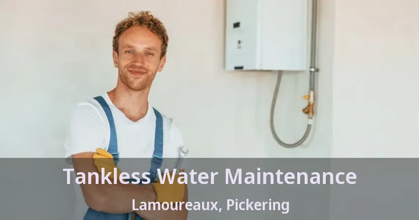 Tankless Water Maintenance Lamoureaux, Pickering - ON Tankless Water Maintenance Lamoureaux, Pickering - ON