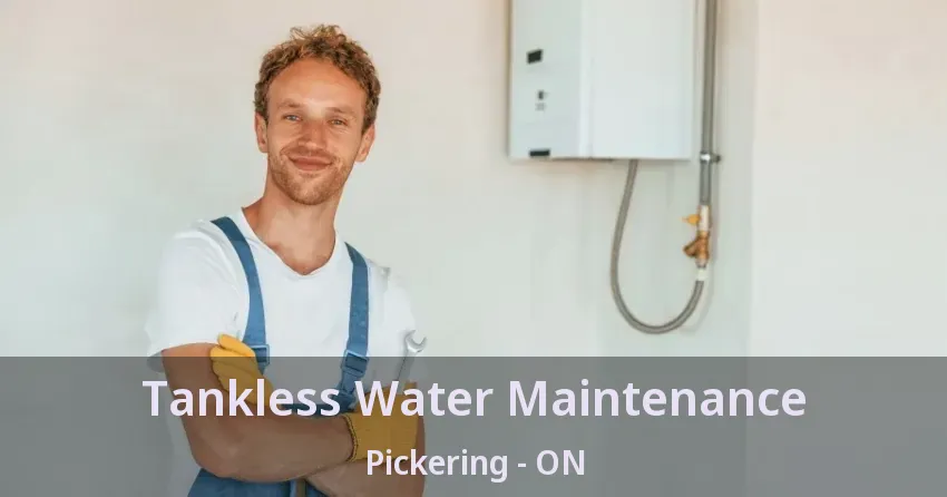 Tankless Water Maintenance Pickering - ON Tankless Water Maintenance Pickering - ON