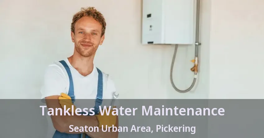Tankless Water Maintenance Seaton Urban Area, Pickering - ON Tankless Water Maintenance Seaton Urban Area, Pickering - ON
